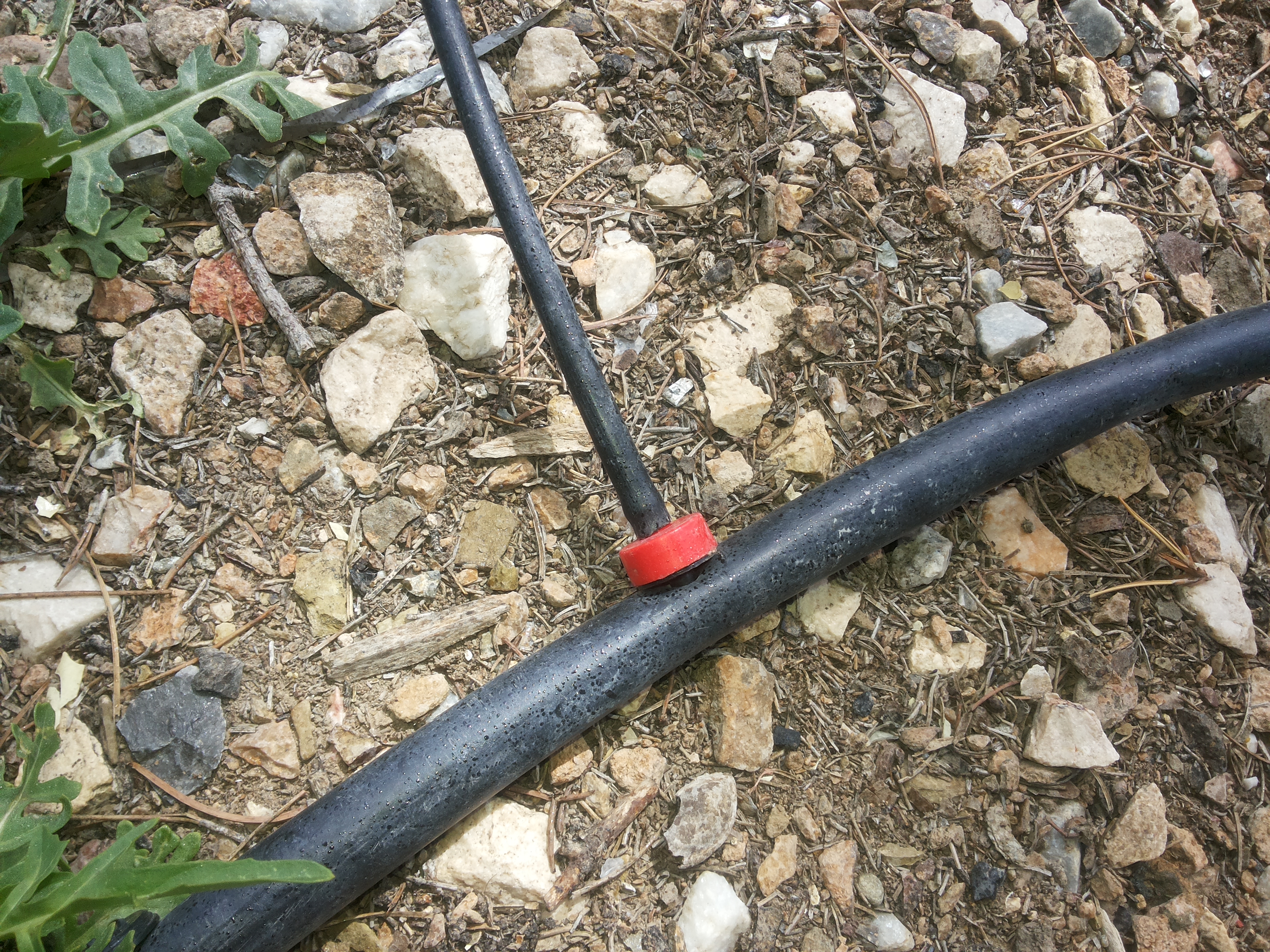 آبیاری قطره ای هوشمند در اصفهان